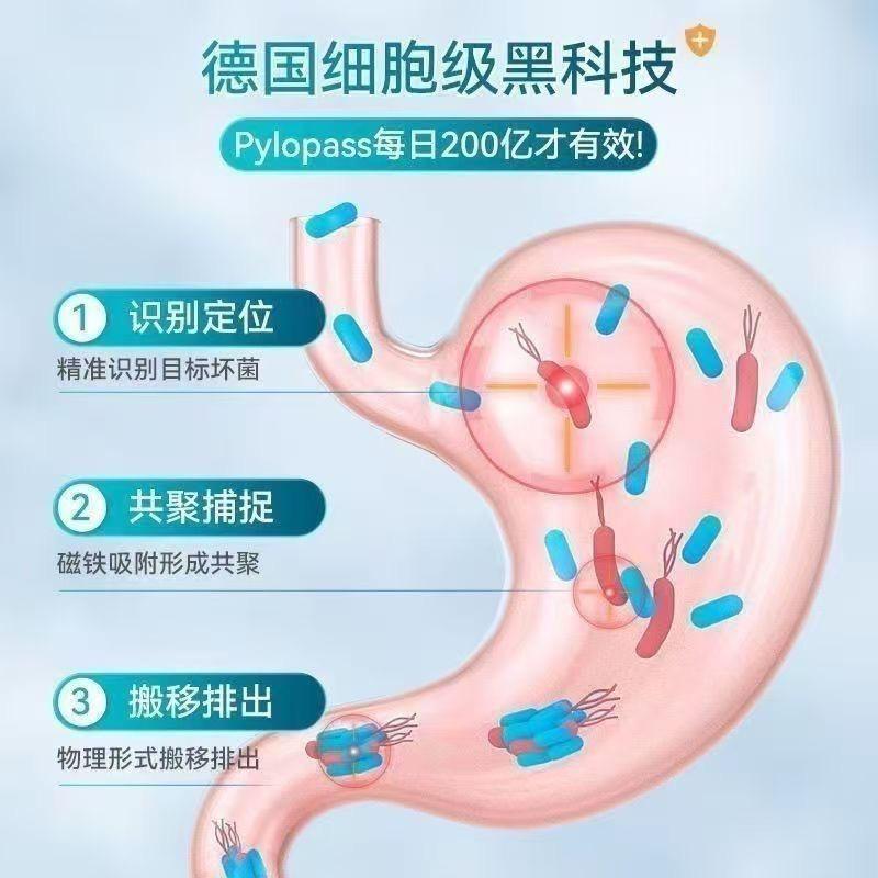 German purmeo digestive probiotic adult Lactobacillus reuteri gastrointestinal health support meal plan