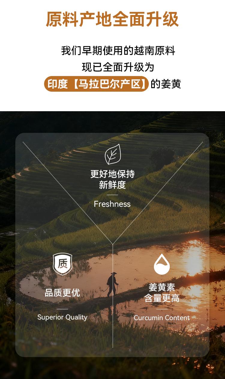 Turmeric powder 95g, natural seasoning golden milk, ginger blended milk, drinking for health and wellness, bottled for easy consumption