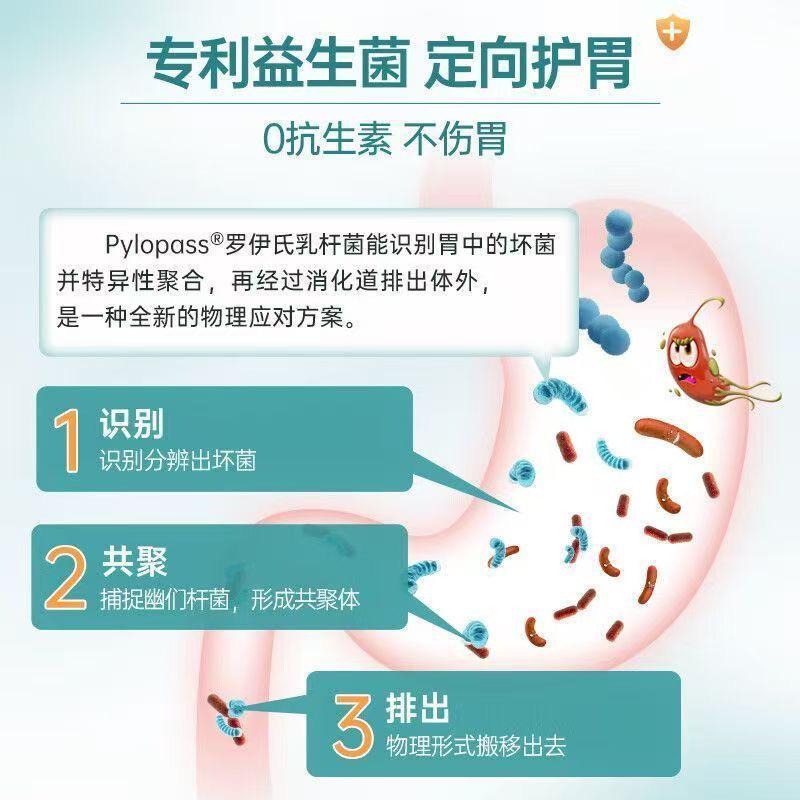 German purmeo digestive probiotic adult Lactobacillus reuteri gastrointestinal health support meal plan